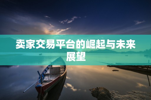 卖家交易平台的崛起与未来展望