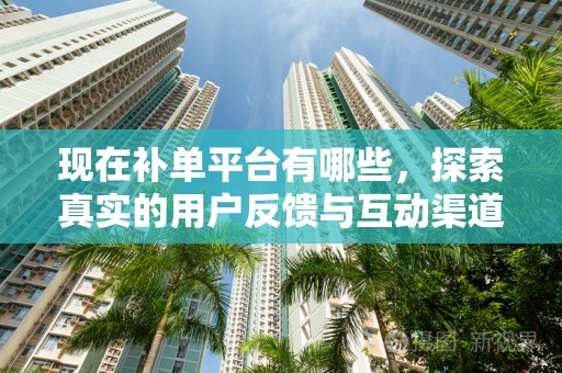 现在补单平台有哪些，探索真实的用户反馈与互动渠道