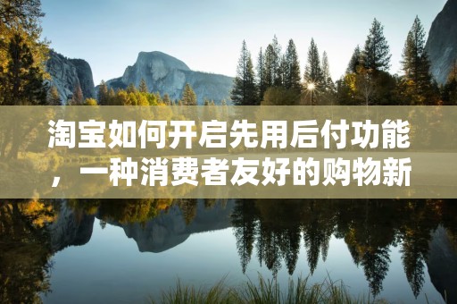 淘宝如何开启先用后付功能，一种消费者友好的购物新体验