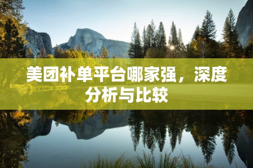 美团补单平台哪家强，深度分析与比较