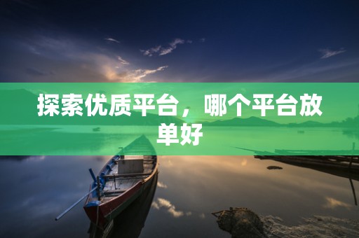 探索优质平台，哪个平台放单好