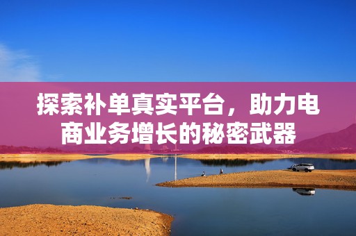 探索补单真实平台，助力电商业务增长的秘密武器