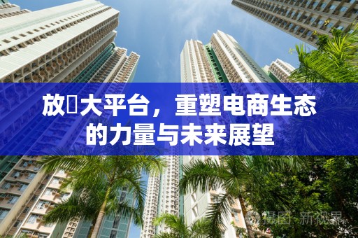 放單大平台，重塑电商生态的力量与未来展望