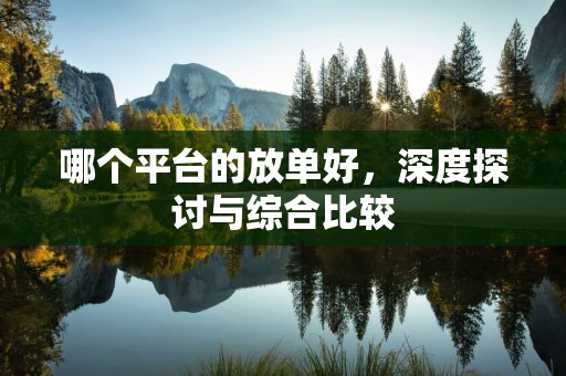 哪个平台的放单好，深度探讨与综合比较