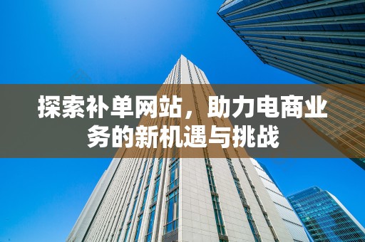 探索补单网站，助力电商业务的新机遇与挑战