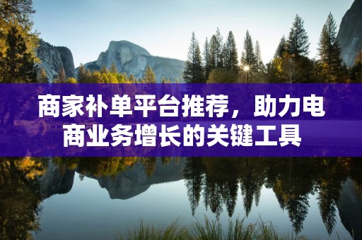 商家补单平台推荐，助力电商业务增长的关键工具