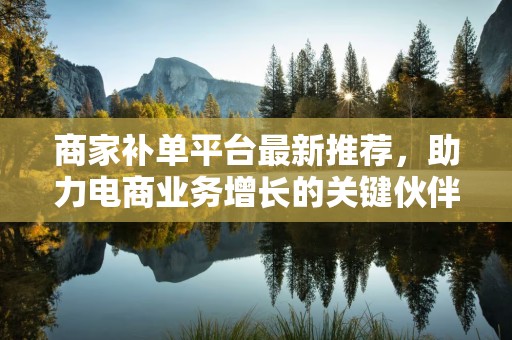 商家补单平台最新推荐，助力电商业务增长的关键伙伴