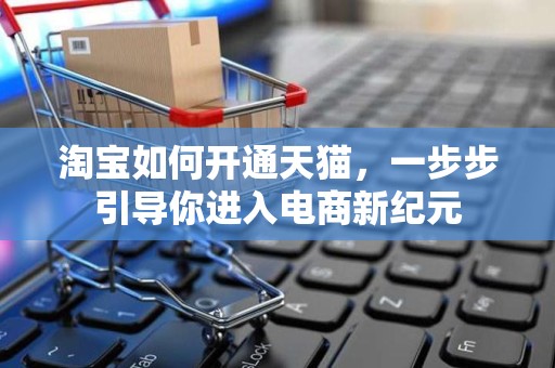 淘宝如何开通天猫，一步步引导你进入电商新纪元