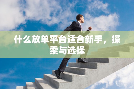 什么放单平台适合新手，探索与选择