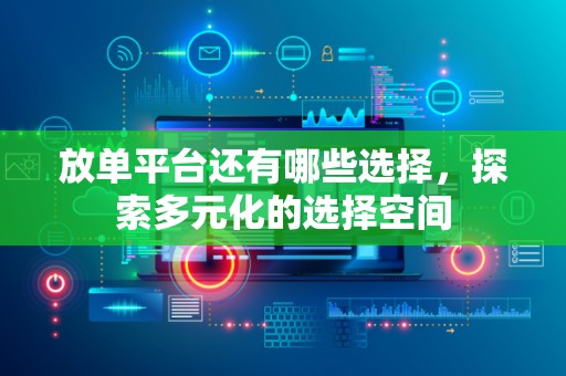 放单平台还有哪些选择，探索多元化的选择空间