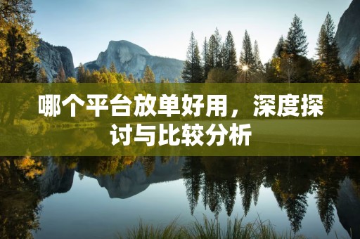 哪个平台放单好用，深度探讨与比较分析