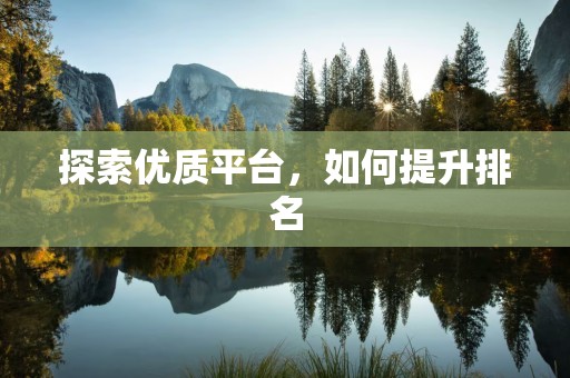 探索优质平台，如何提升排名