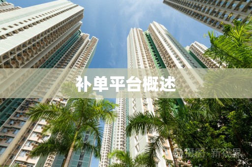补单平台概述