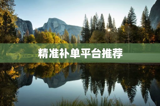 精准补单平台推荐