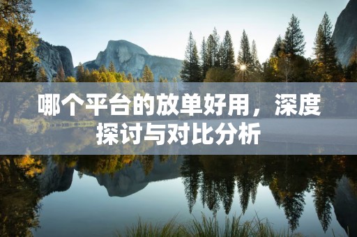 哪个平台的放单好用，深度探讨与对比分析