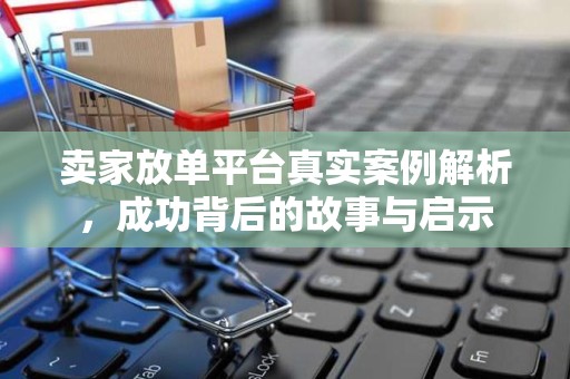卖家放单平台真实案例解析，成功背后的故事与启示