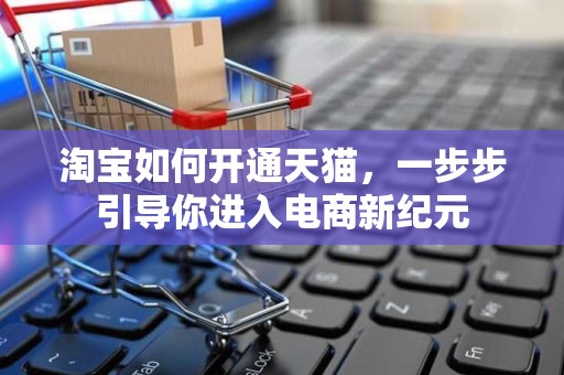 淘宝如何开通天猫，一步步引导你进入电商新纪元
