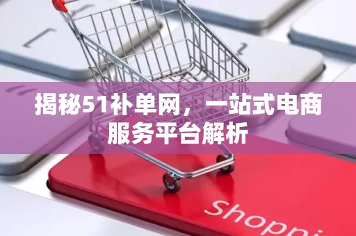 揭秘51补单网，一站式电商服务平台解析