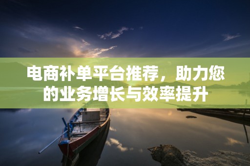 电商补单平台推荐，助力您的业务增长与效率提升