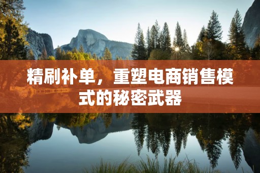 精刷补单，重塑电商销售模式的秘密武器