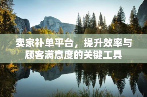 卖家补单平台，提升效率与顾客满意度的关键工具