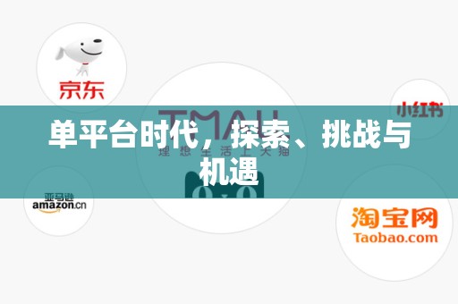 单平台时代，探索、挑战与机遇