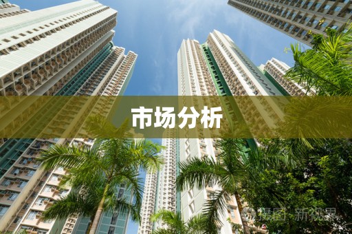 市场分析