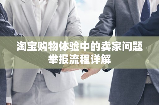 淘宝购物体验中的卖家问题举报流程详解