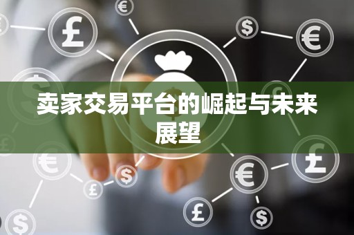 卖家交易平台的崛起与未来展望