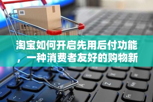 淘宝如何开启先用后付功能，一种消费者友好的购物新体验