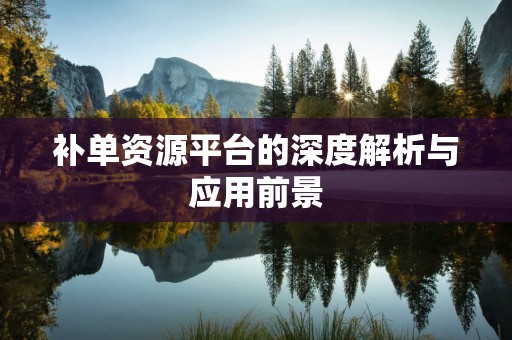 补单资源平台的深度解析与应用前景