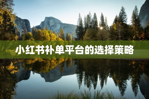 小红书补单平台的选择策略