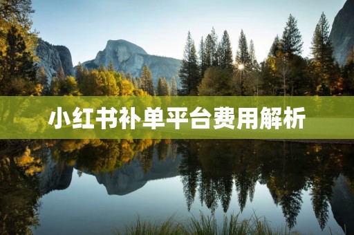 小红书补单平台费用解析