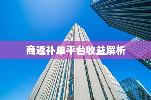 商返补单平台收益解析