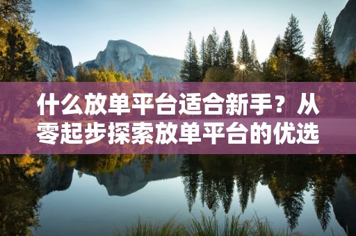 什么放单平台适合新手？从零起步探索放单平台的优选之路