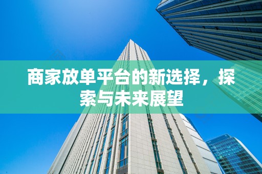 商家放单平台的新选择，探索与未来展望