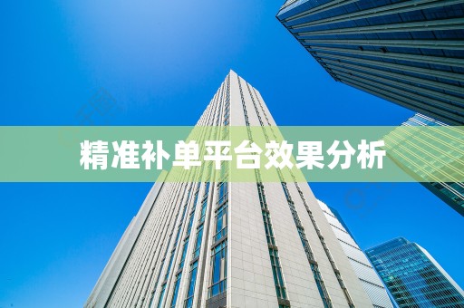 精准补单平台效果分析