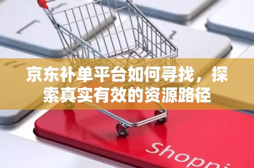 京东补单平台如何寻找，探索真实有效的资源路径