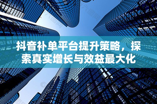 抖音补单平台提升策略，探索真实增长与效益最大化