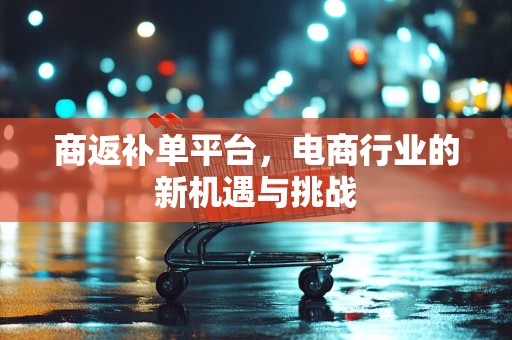 商返补单平台，电商行业的新机遇与挑战