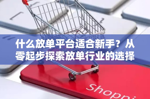 什么放单平台适合新手？从零起步探索放单行业的选择策略