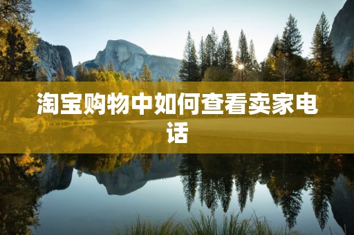 淘宝购物中如何查看卖家电话
