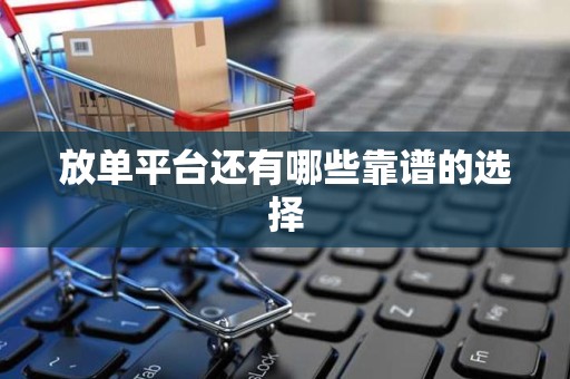 放单平台还有哪些靠谱的选择