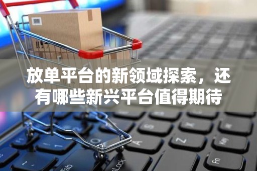 放单平台的新领域探索，还有哪些新兴平台值得期待