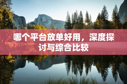 哪个平台放单好用，深度探讨与综合比较
