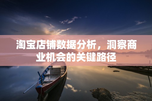淘宝店铺数据分析，洞察商业机会的关键路径