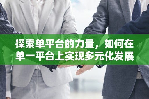 探索单平台的力量，如何在单一平台上实现多元化发展