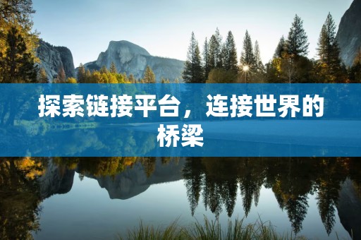 探索链接平台，连接世界的桥梁