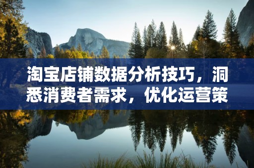 淘宝店铺数据分析技巧，洞悉消费者需求，优化运营策略