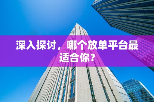 深入探讨，哪个放单平台最适合你？